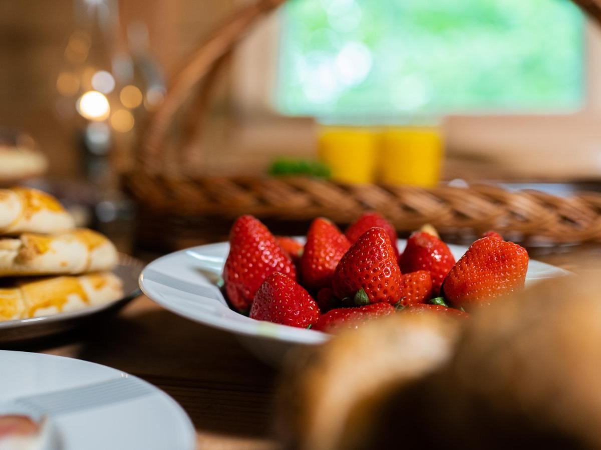 Treehous Sneznik S Wellness Hotell Dolní Morava Exteriör bild