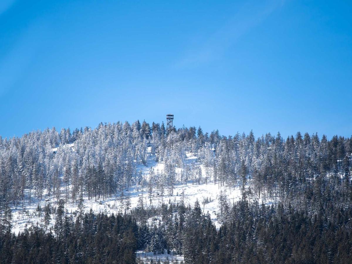 Treehous Sneznik S Wellness Hotell Dolní Morava Exteriör bild